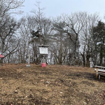 二百名山 御正体山(1681m)
ベンチテーブルもあるし、ここでランチタイムとしよう
360°眺望なしだが、この山、周辺の山々から見ると 三角錐で どっしりと目立った形状で、前々から気になっていた。(ここでちょうど山梨💯座目)