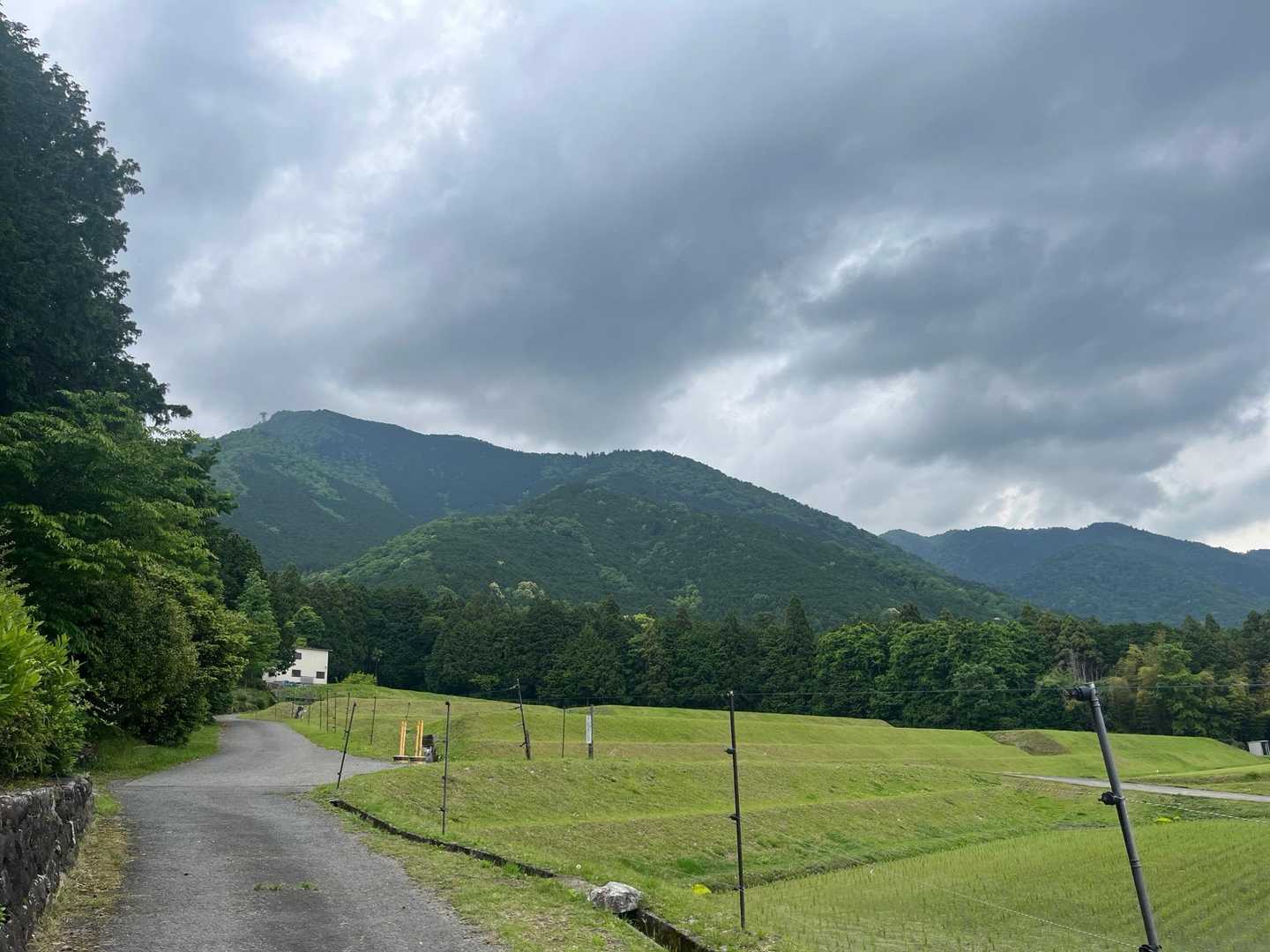 下山
蓬莱山、今日も楽しい山歩きとなりました！
ありがとうございました😊