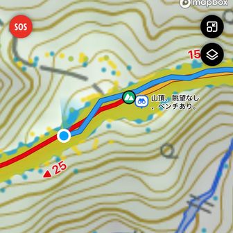 て、母心に心配してたら
あり？修学院山⛰️
いつの間にか通過してる？