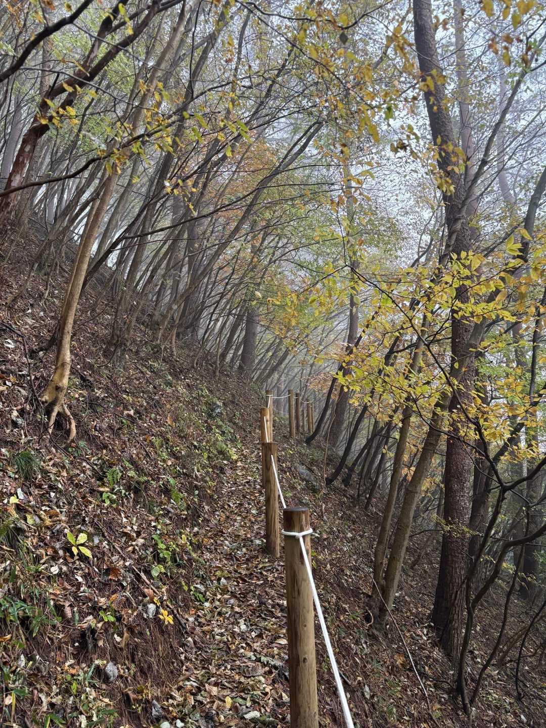 荒神山入口-荒神山 往復コースの写真