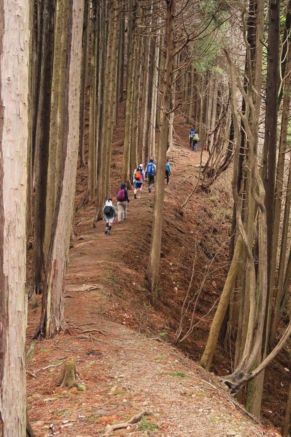 ちょっと下って、登ります。