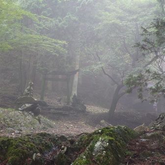 雷神社広場に到着
オオカミの「おいぬさま」がいます
オオカミのおいぬさまは、7月に登った秩父の三峯神社と同じだそうです

鳥居を抜けて、山頂を目指します