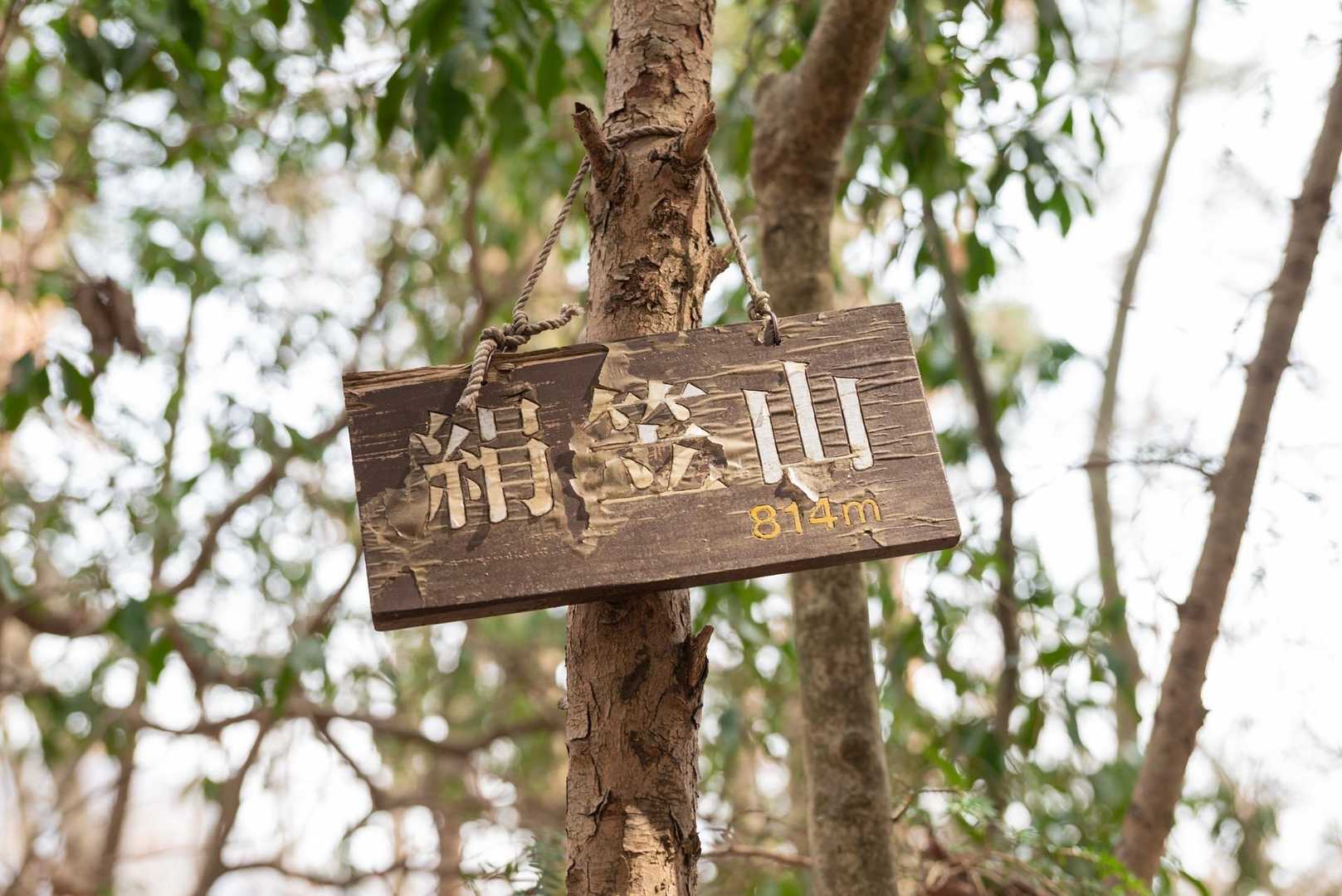 六ツ石山登山口-長尾ノ頭-六ツ石山-十二天山-絹笠山-六ツ 縦走コースの写真