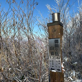 暖かくてコーヒー飲んでのんびり