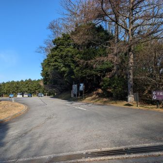 駐車場　平日ですが10台くらい。