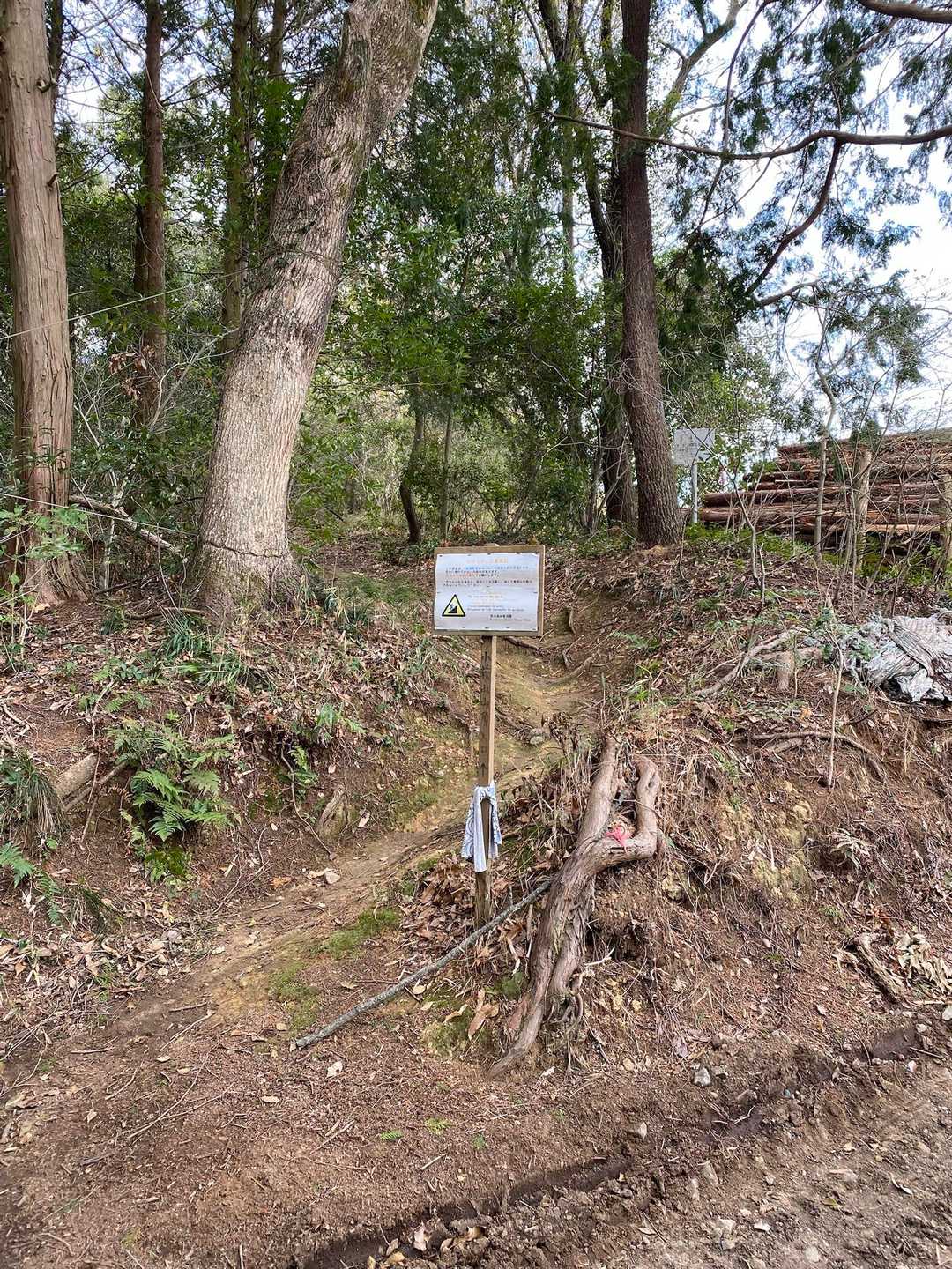 ここが登山口👇