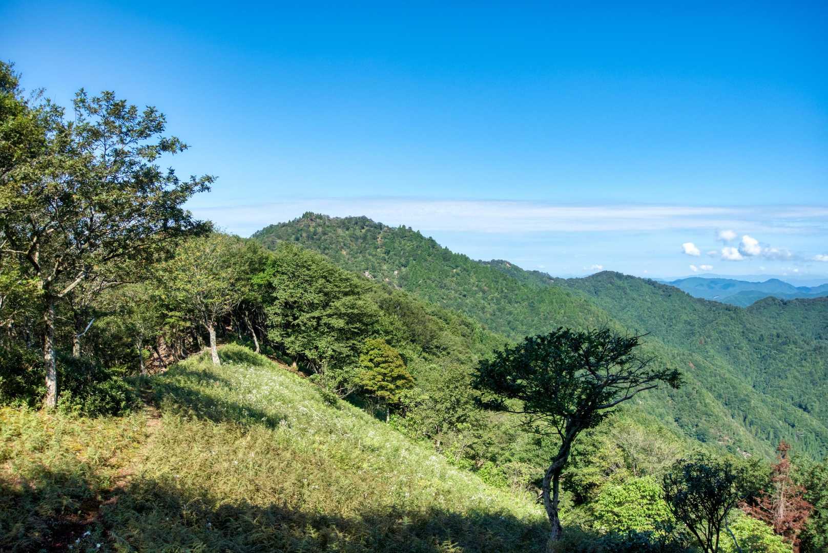 ここで頭巾山が見えます。