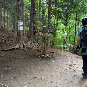 股峠到着
ここからものの5分下っておつかれ山しました