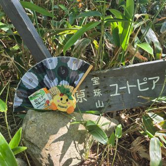 鳥取と言えば、この牛乳🐮