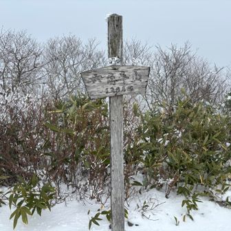 山頂到着。３６０度の眺望が期待できそうな場所ですが一面真っ白で何も見えません😕ヤマスタのスタンプも無し。寒いし、お腹も空いてないし、帰りましょう。