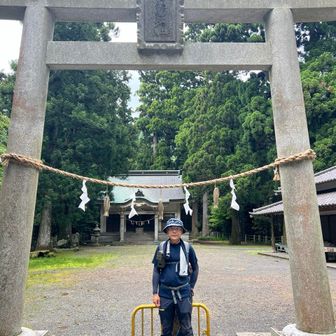 ごりさん