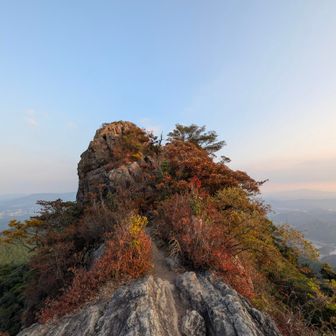 山頂の木々が一見紅葉のように枯れているのは、雨が降っていないせいかな