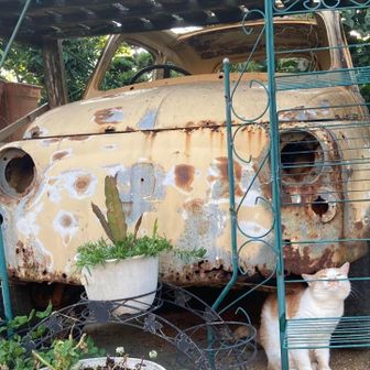 mitk500(ゲヒさん)