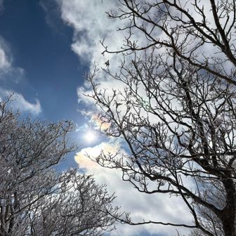 晴天になって来た☀️
霧氷も綺麗😊