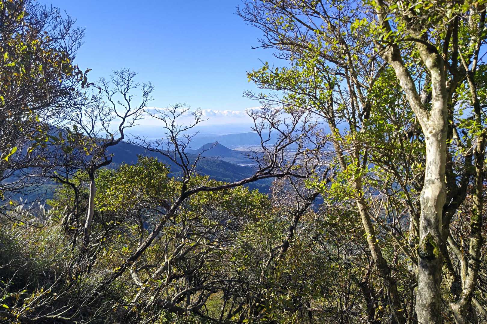 甑岳登山口-甑岳 往復コースの写真