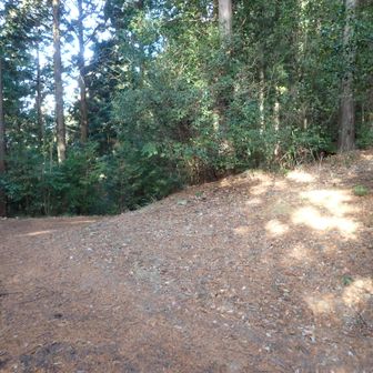 右はショートカット