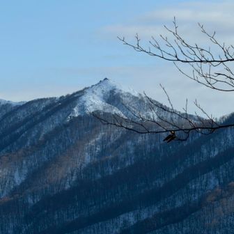 奥岳が良く見えました