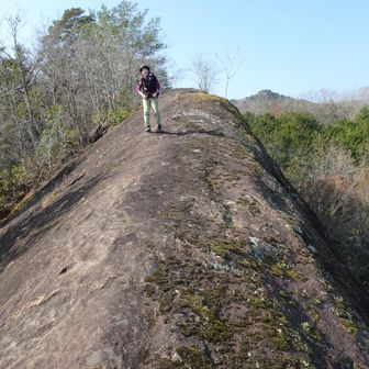 やっと上がってきたぞわぞわzone💦💦