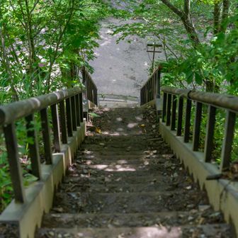 下山！
登りも下りも汗をかかず快適だった