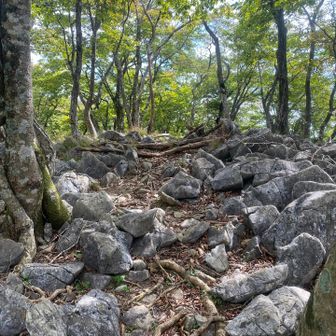 花崗岩ばかり