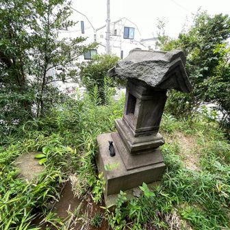 赤塚氷川神社
上赤塚富士山頂

埋蔵ピーク⑦