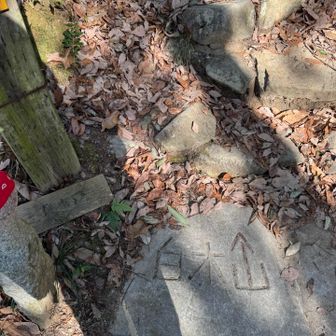 もちろん😎
スペシャリストと合流し出発🙋‍♀️