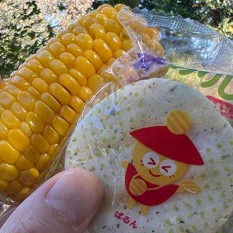 山頂でおにぎり🍙食べて、温泉で買ってきたとうもろこし🌽と、マラソン大会で貰ったパリンコ🍘
最高に美味しい😋