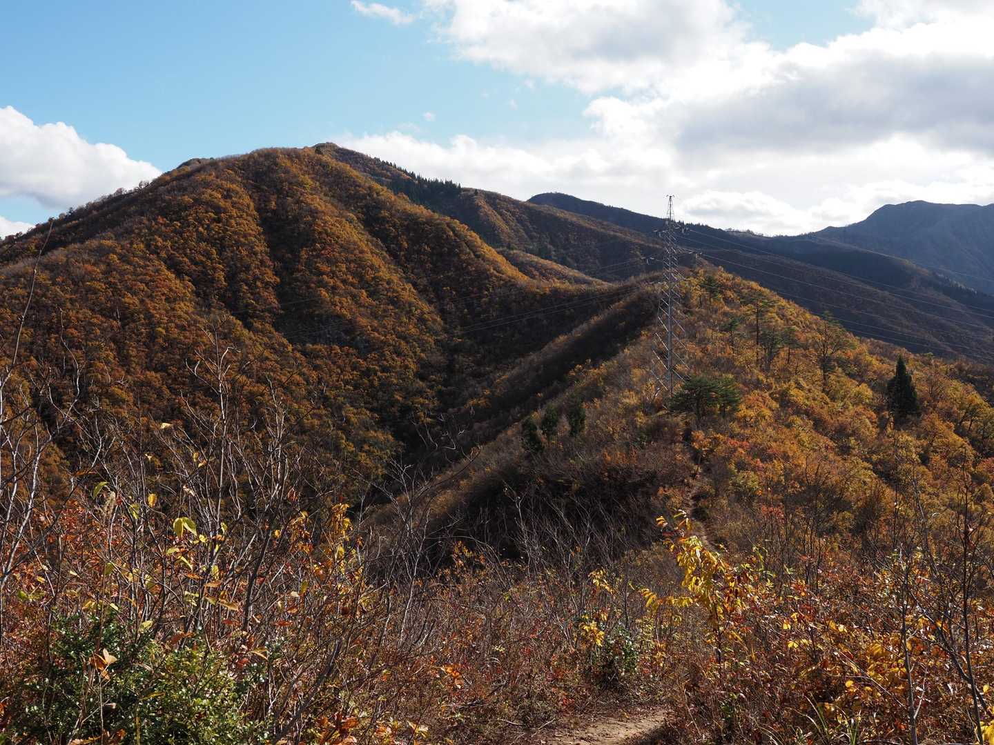 一本杉-鳴倉山 往復コースの写真