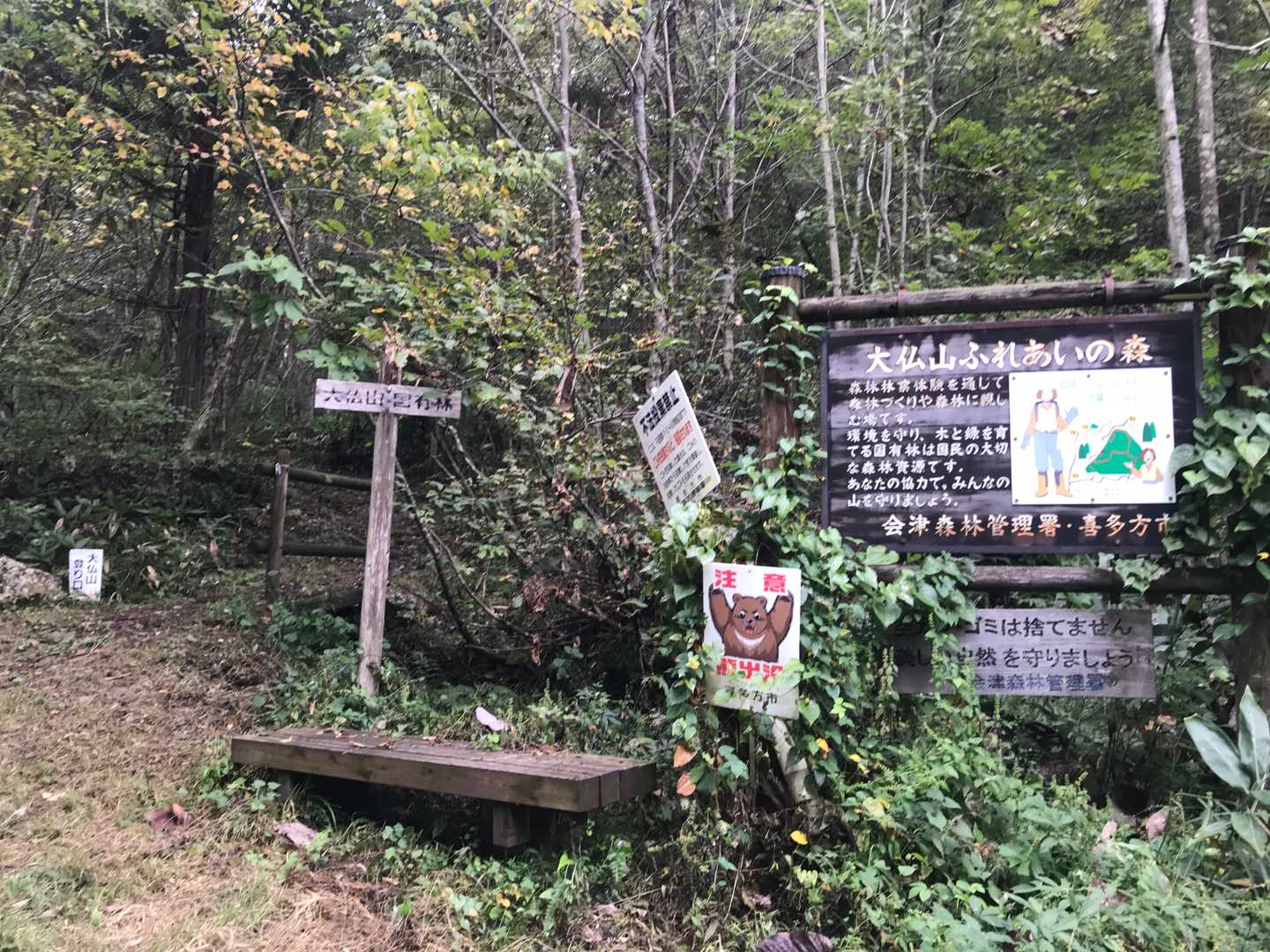 登山口。ここからはなだらかで整備された道を行きます。