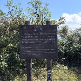 丸岳まで小一時間の入門コース🗻