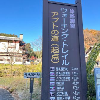 ごーーーーーる！