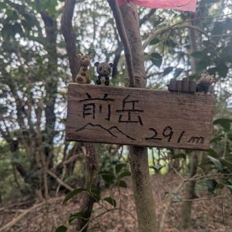 頂上です
景色がよくない・・・・