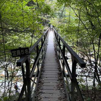 疲れと足痛で、下りはほとんど写真とらず。つかれたけど良い山行だった！