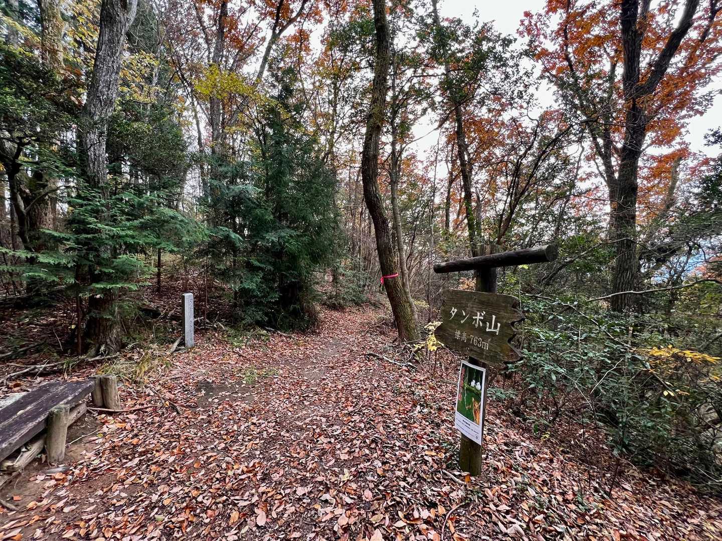 百ヶ辻登山口-伏見峠-久留野峠-中葛城山-高谷山-千早峠- 縦走コースの写真