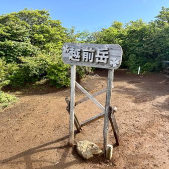 越前岳到着〜！
風もなく苦しい戦いでした・・・