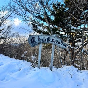 山荘から１時間半で山頂に到着😊
山頂は1263mです。