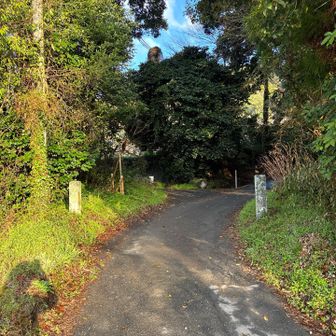 まだ車で🚙💨行けそう