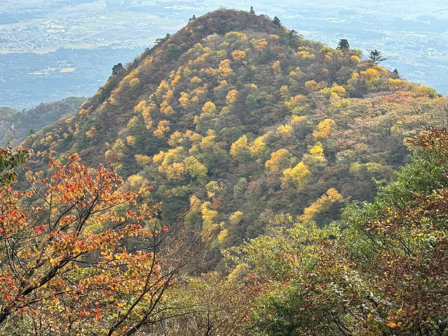 三池岳登山口-三池岳-八風峠-中峠-仙香山-釈迦ヶ岳-北山 周回コースの写真