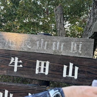 尾長山⛰️山頂到着🛬