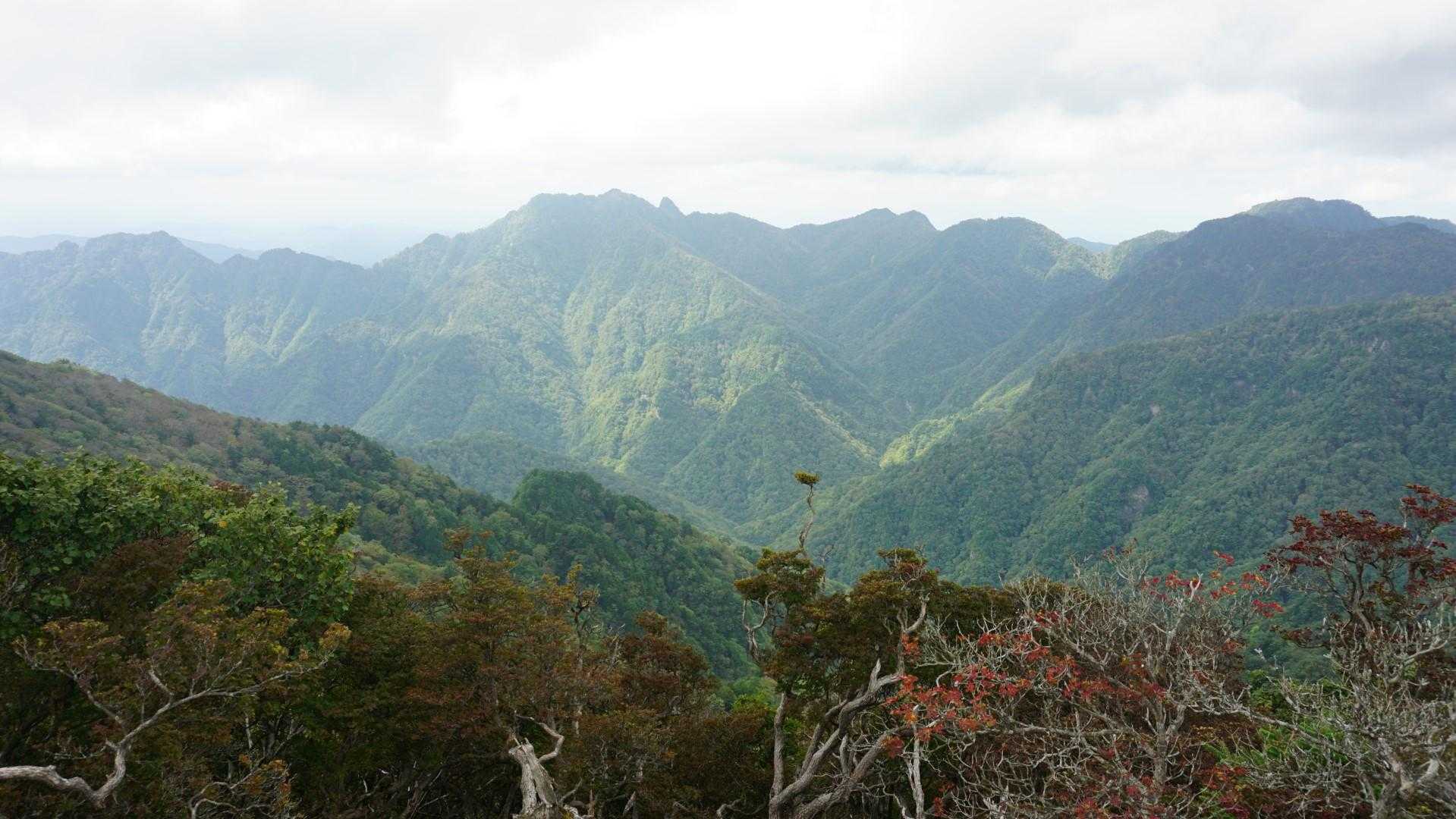 稲村ヶ岳