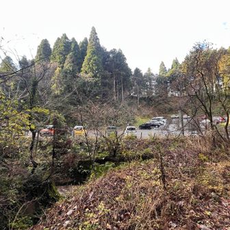 下山時には30台位に。
確かによくすれ違った。