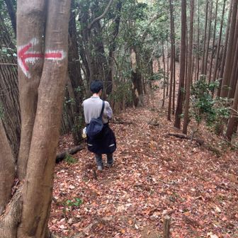 少し下って尾根筋を歩き登ると