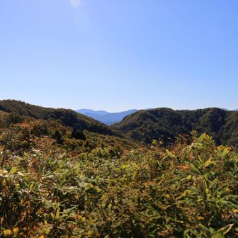 右側が奥医王山かな？
今日は行かない😊