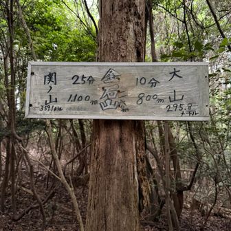 金石山
展望はありません😙