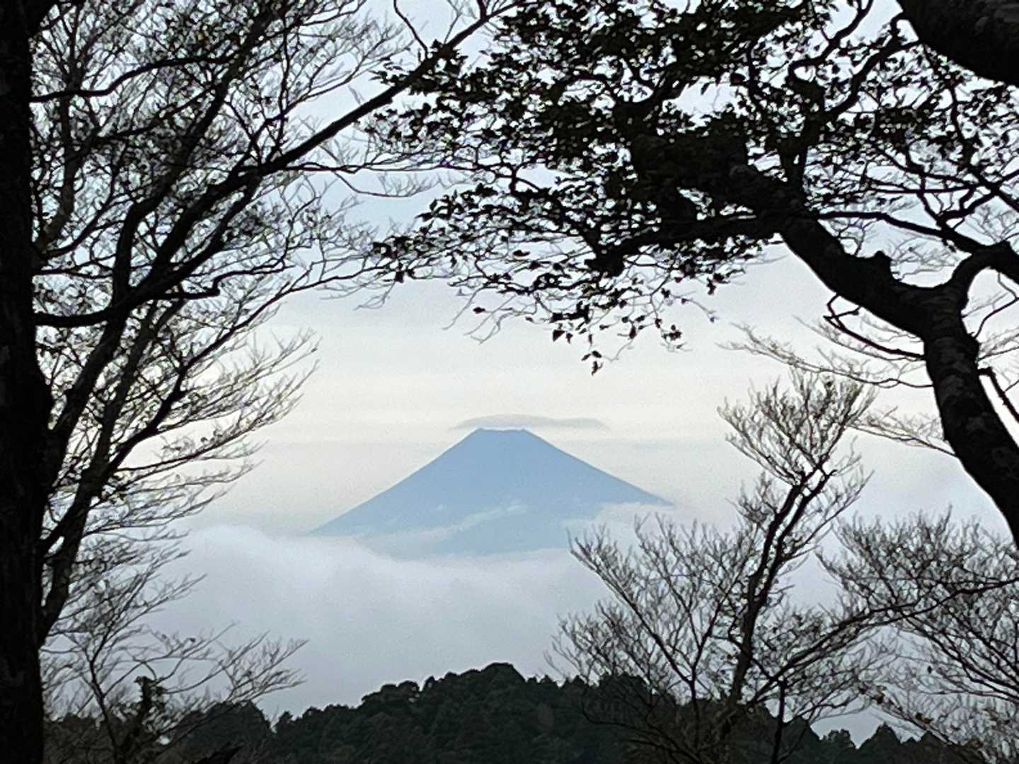 まるで額に入ってるような幻想的な富士山は
一番のお気に入り🤩