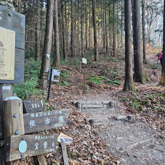 ここから階段が続きます。