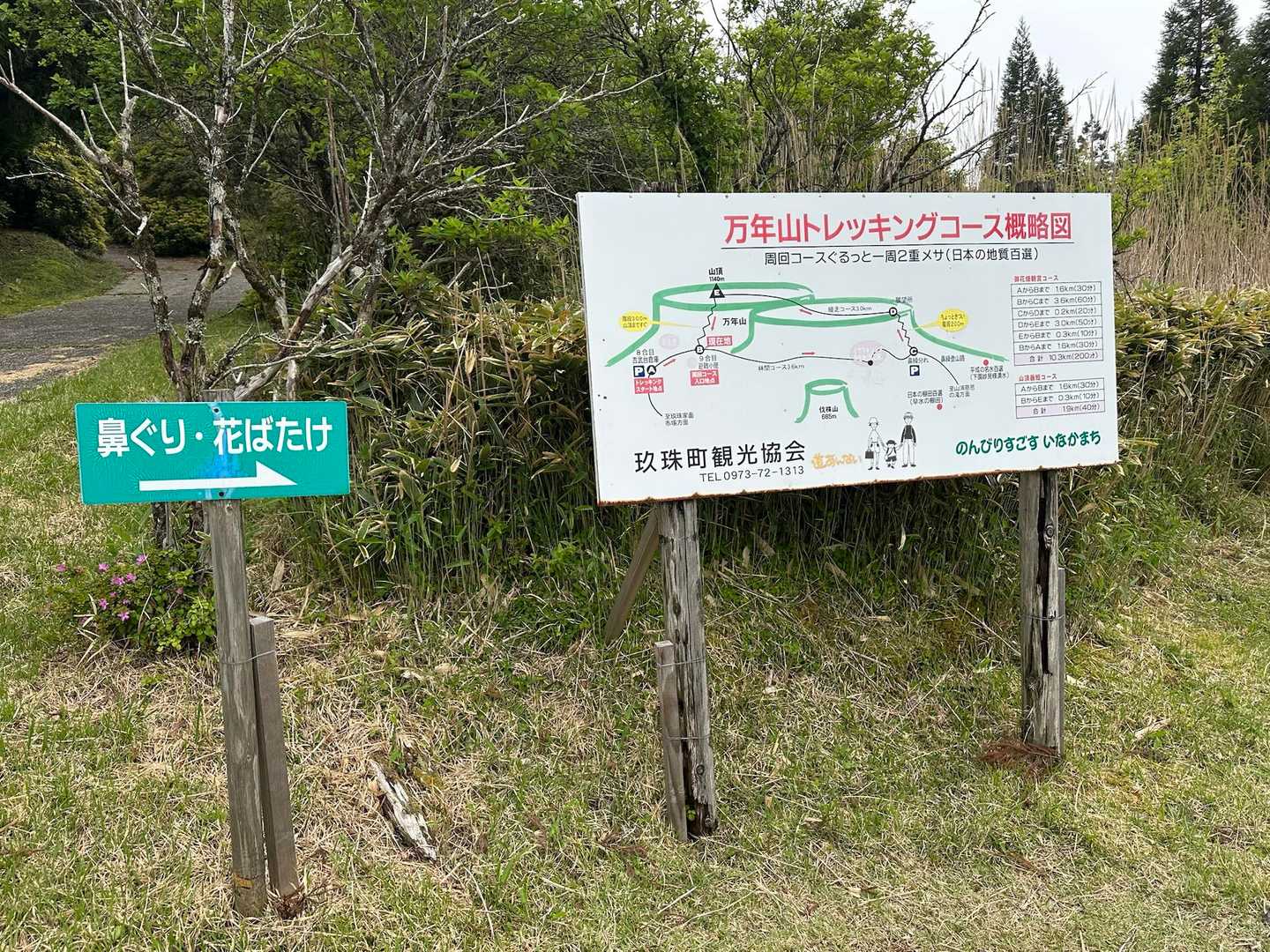 花ばたけに行きたかったが、娘から全拒否｛さっきので満足したやろ！