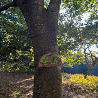 笹峠  ここまで結構時間かかった😂前日はあまり飲んだらダメね😂