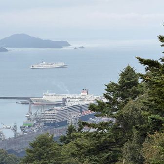 あの客船🛳️(手前の船)で来たのかぁ