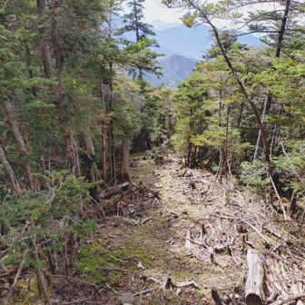 さあ、尾根を進んで笹山へ向かいます。
